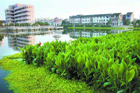 “海綿城市”的理念運用到城市“雨水公園”中