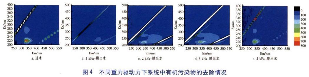 污水處理設備__全康環(huán)保QKEP