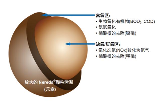 污水處理設備__全康環(huán)保QKEP