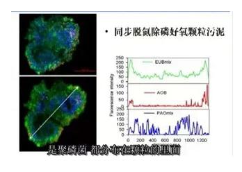 污水處理設備__全康環(huán)保QKEP