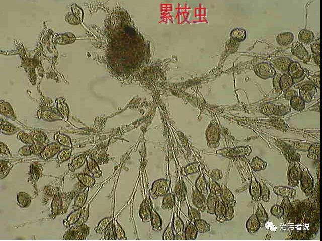 污水處理設(shè)備__全康環(huán)保QKEP