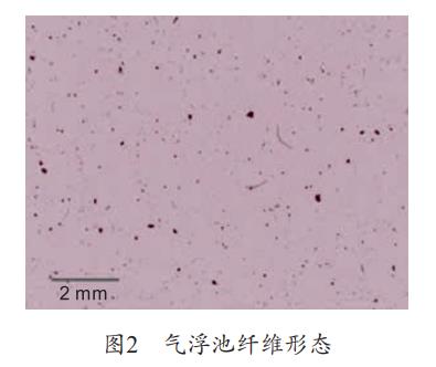 污水處理設備__全康環(huán)保QKEP